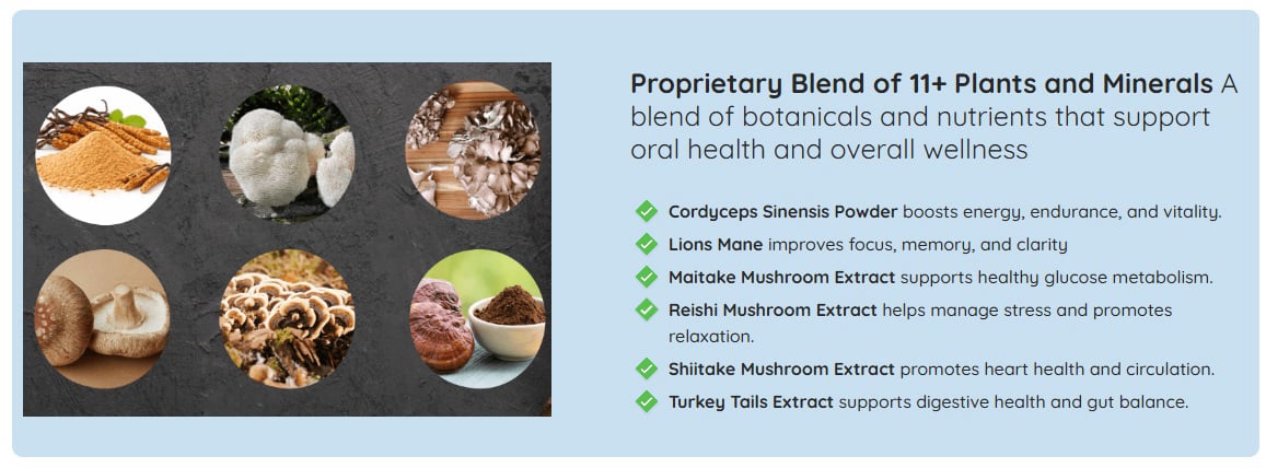 Mindoxa Ingredients